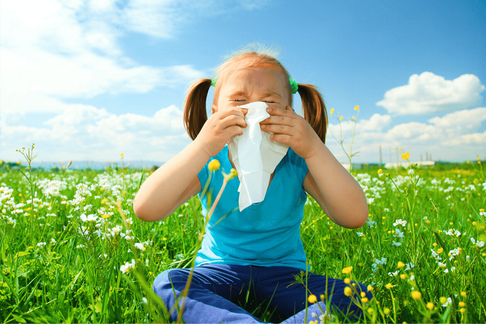Summer Allergy Management